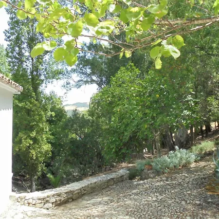 El Pastor Grazalema